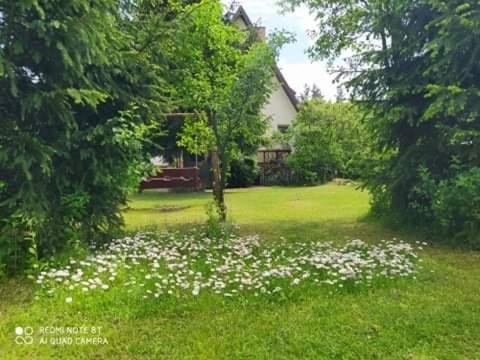 Apartament Leśny Supraśl Extérieur photo